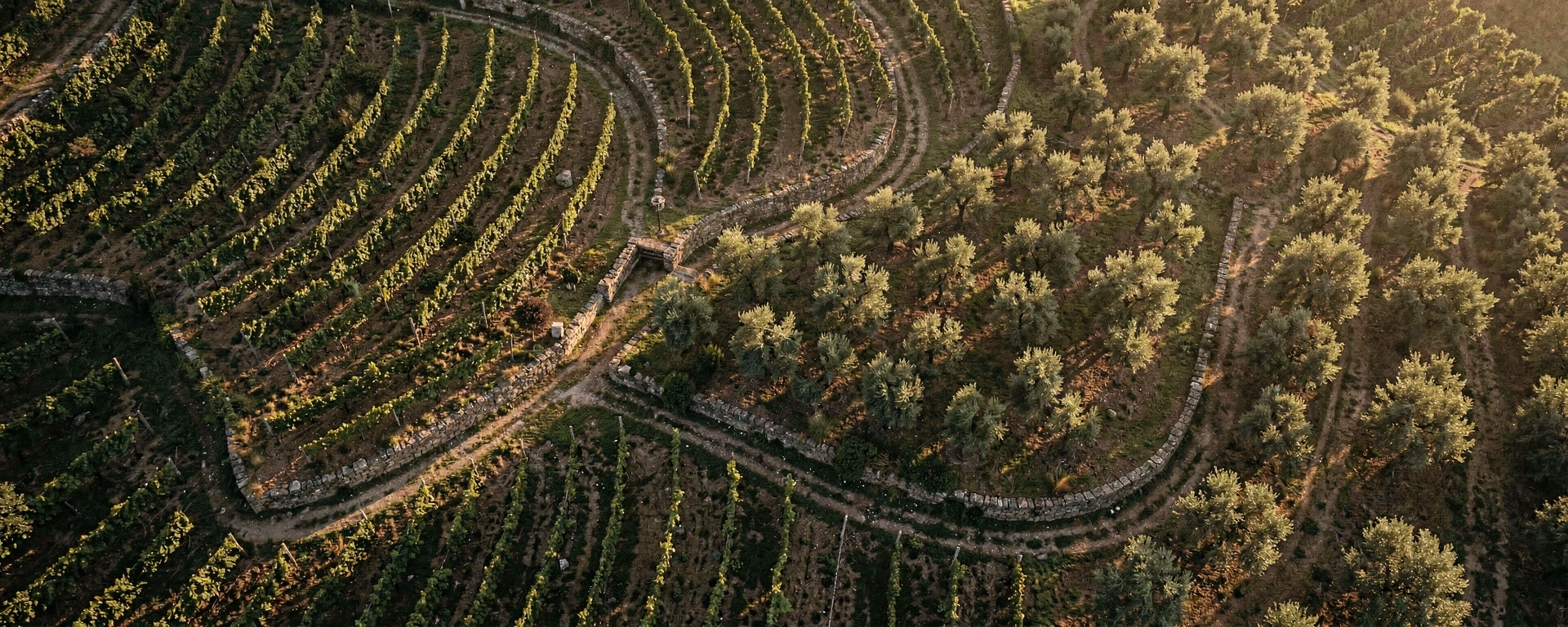 Paisagem agrícola portuguesa